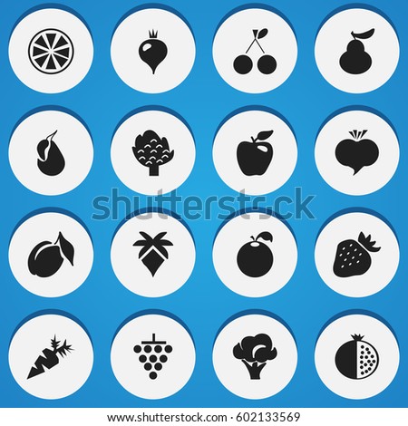 Set Of 16 Editable Dessert Icons. Includes Symbols Such As Lemon, Palm, Bunch Of Flowers And More. Can Be Used For Web, Mobile, UI And Infographic Design.