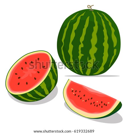 Vector illustration logo for whole ripe red fruit watermelon,green stem,cut half,sliced slice berry with red flesh,background.Watermelon drawing from natural sweet food.Eat tropical fruits watermelons