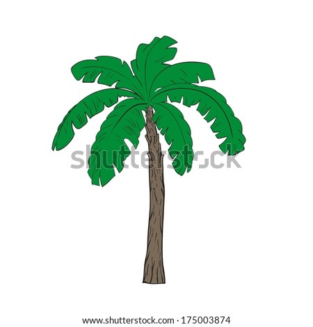 Banana Tree Stock Vector 175003874 - Shutterstock