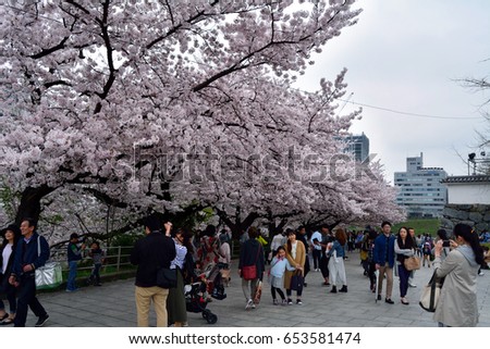 Fukuoka City Fukuoka Japan April 9 Stock Photo 653581474 - Shutterstock