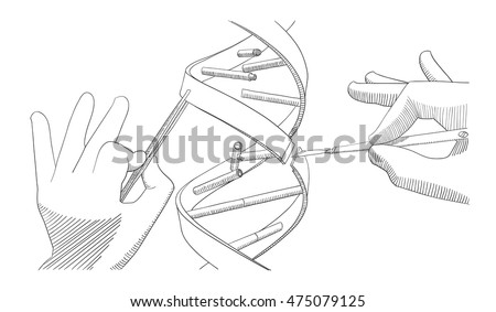 an experiment in prophage manipulation through dna sequencing In the early days of dna manipulation, dna fragments were laboriously separated by gravity in the 1970s, the powerful tool of dna gel electrophoresis was developed. an experiment in prophage manipulation through dna sequencing In the early days of dna manipulation, dna fragments were laboriously separated by gravity in the 1970s, the powerful tool of dna gel electrophoresis was developed.