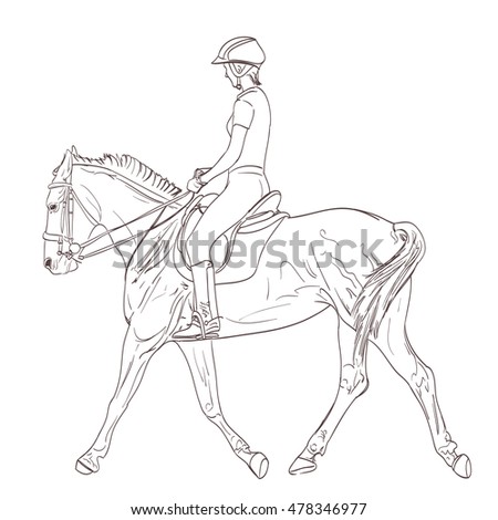 Horse Rider Drawing Equestrian Training Lineart Stock Vector 478346977 ...