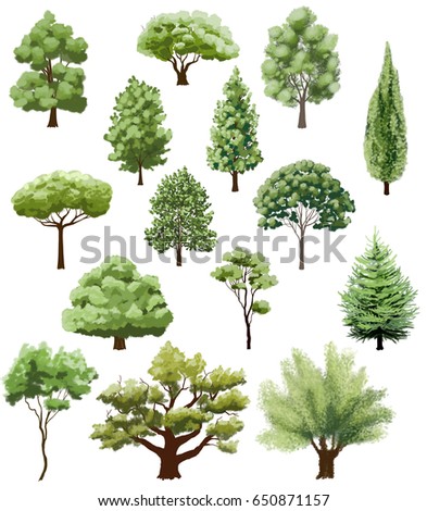 Various Types Trees On White Hand Stock Illustration 650871157 ...