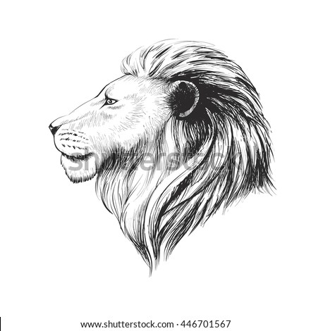 Free Free 304 Lion Head Profile Svg SVG PNG EPS DXF File