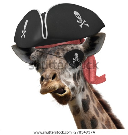 Funny Animal Picture Of A Cool Giraffe Wearing A Pirate Hat And Eyepatch With Crossbones Funny Animal Picture Of A Cool Giraffe Wearing A Pirate Hat And Eyepatch With Crossbones