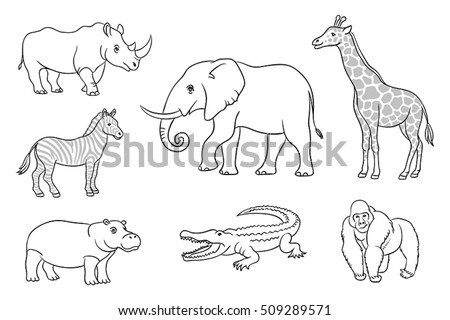 Light-Dew's Portfolio on Shutterstock