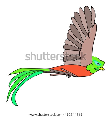 Quetzal Bird Stock Vector 492370828 - Shutterstock