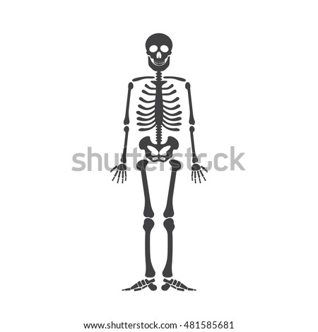 Skeleton Stock Images, Royalty-Free Images & Vectors | Shutterstock