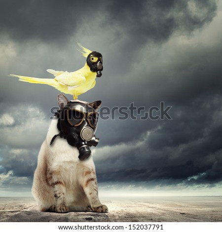 Cat and parrot in gas masks. Ecology concept