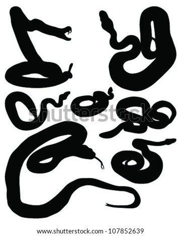 Snake Fangs Stock Photos, Royalty-Free Images & Vectors - Shutterstock