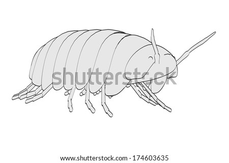 Pillbug Stock Photos, Images, & Pictures | Shutterstock