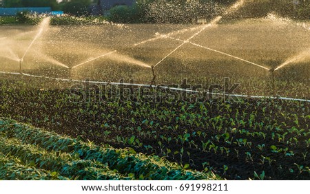 Irrigation system watering a crop of soy beans at field
