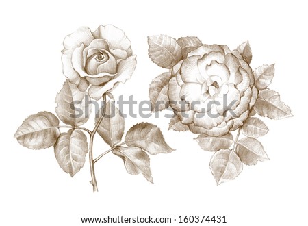  Flower Sketch Bouquet Hand Drawing Stock Illustration 