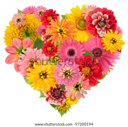 Heart Flowers Isolated Summers flowers heart floral collage concept