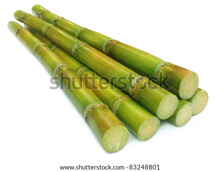 Sugar cane over white background