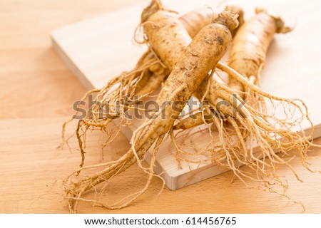 Korean fresh ginseng