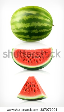 Watermelon vector icons set. Fresh and juicy fruit.