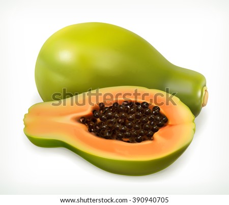 Papaya fruit. Vector icon