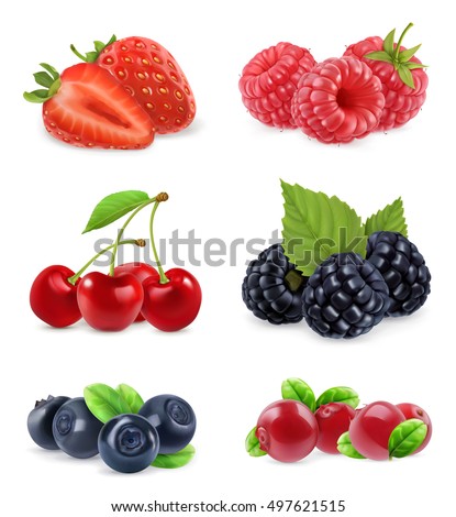 Forest berry. Sweet fruit. Realistic illustration. 3d vector icon set