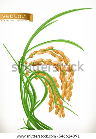 Rice, 3d vector icon