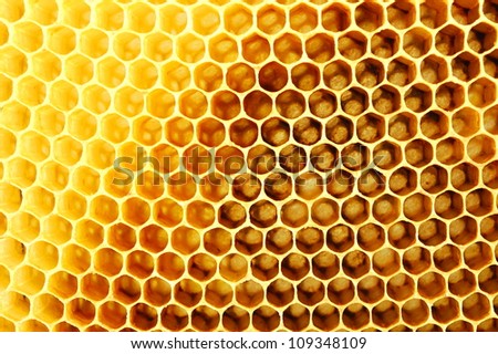 Bee Hive Stock Photos, Images, & Pictures | Shutterstock