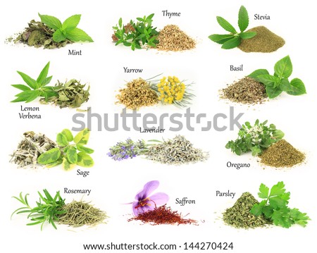 Herbs Spice Collecti