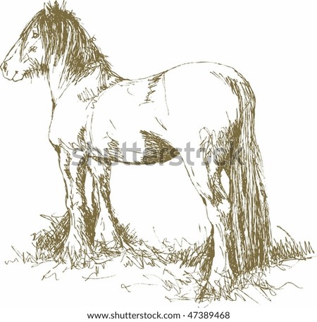 Brown Horse Head Stock Vectors & Vector Clip Art | Shutterstock