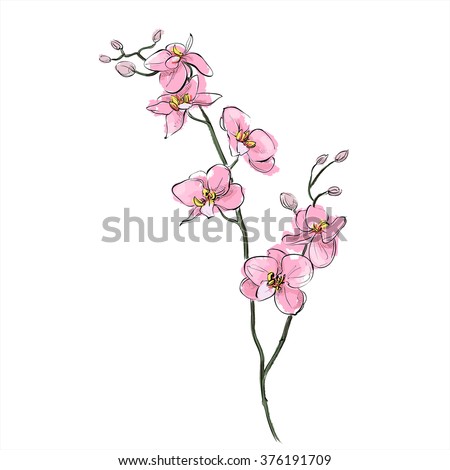 Flower Sketch Stock Images, Royalty-Free Images & Vectors | Shutterstock