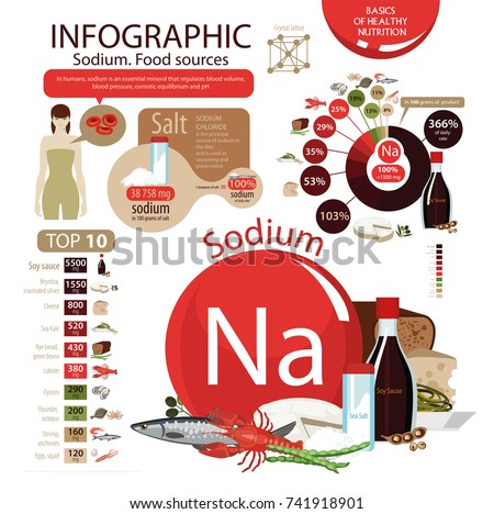 infographics sodium food sources foods maximum stock vector sodium food chart