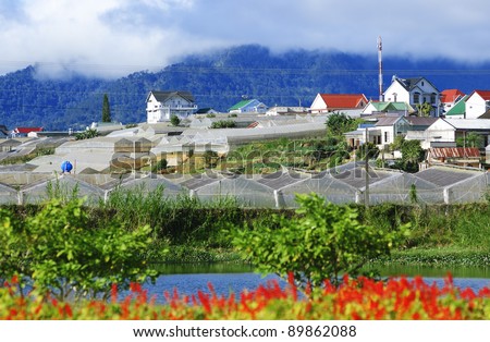Vietnamese Central Highlands Agriculture (Da Lat, Vietnam)