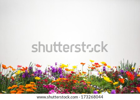 Flower Garden Stock Photo 173268044 - Shutterstock