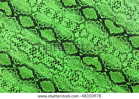 Green Scales Snake Skin Stock Photos, Royalty-free Images & Vectors 