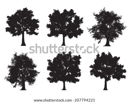 Tree Silhouettes Red Maple Sugar Maple Stock Vector 531843925