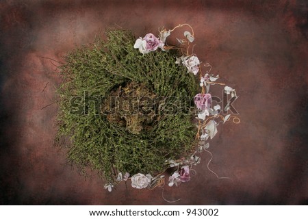 Fantasy Bird Nest Photographer Studio Set (Insert Isolated Client)
