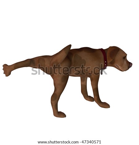 stock-photo-a-cute-little-cartoon-dog-lifting-his-leg-isolated-47340571.jpg