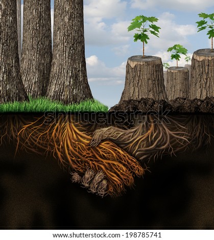 Trees Communicate With One Another Through The “Underground Web” Stock-photo-economic-support-and-financial-assistance-business-concept-as-a-forest-of-healthy-trees-helping-a-198785741