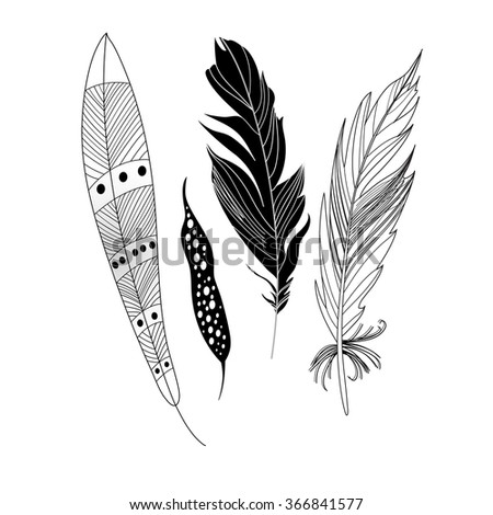 Graphic Black Feathers Closeup On White Stock Vector 366841577