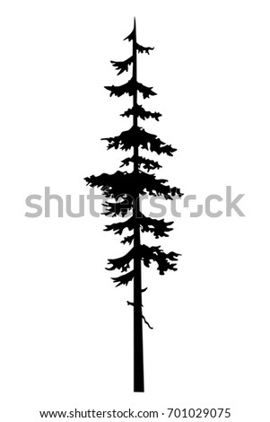 tattoo tree silhouette coniferous tree sketch stock vector tattoo tree silhouette coniferous tree sketch stock vector