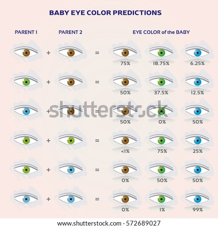 Baby Eye Color Prediction Chart Icons Stock Vector 572689027 - Shutterstock