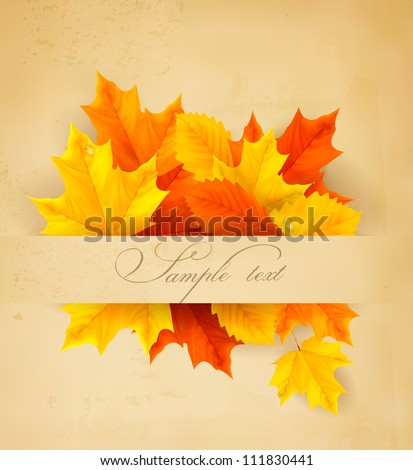 Colorful autumn leaves on a old paper Back to school background Vector