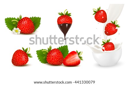 Set of ripe sweet strawberry and flower with leaves and splash of milk. Vector.