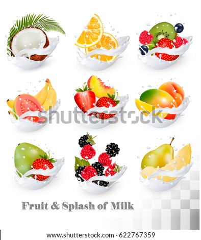 Big collection icons of fruit in a milk splash. Guava, coconut, mango, peach, strawberry, cherry, blueberry, banana, melon, orange, raspberry. Vector Set