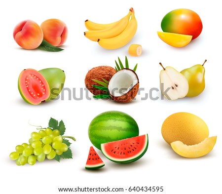 Collection of fruit and berries. Watermelon, grape, pear, banana, mango, coconut, peach, guava. Vector Set.