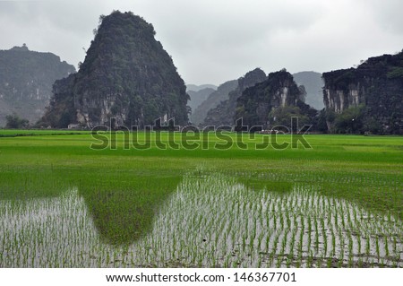 Rice plantations and limestone cliffs in Ninh Binh, Vietnam