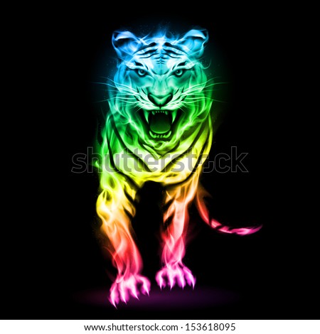 Blue Fire Tiger Isolated On Black Stock Vector 152619149 - Shutterstock