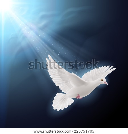 Holy Spirit Dove Stock Photos, Images, & Pictures | Shutterstock