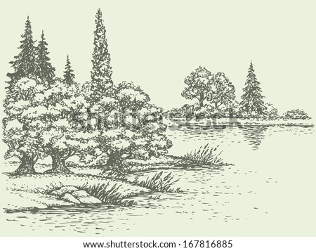 Forest Sketch Stock Photos, Images, & Pictures | Shutterstock