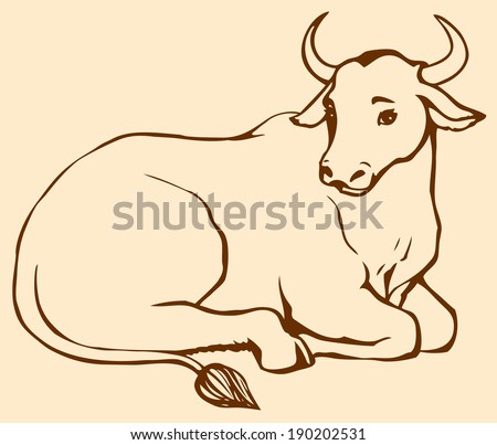 Image result for a cow in tamilnadu eating its food lying