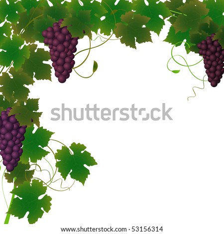 Grapevine Silhouette Vector Illustration Stock Vector 15918322 ...