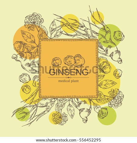 Background with ginseng. Medical plant. hand drawn.